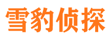 绛县市侦探公司